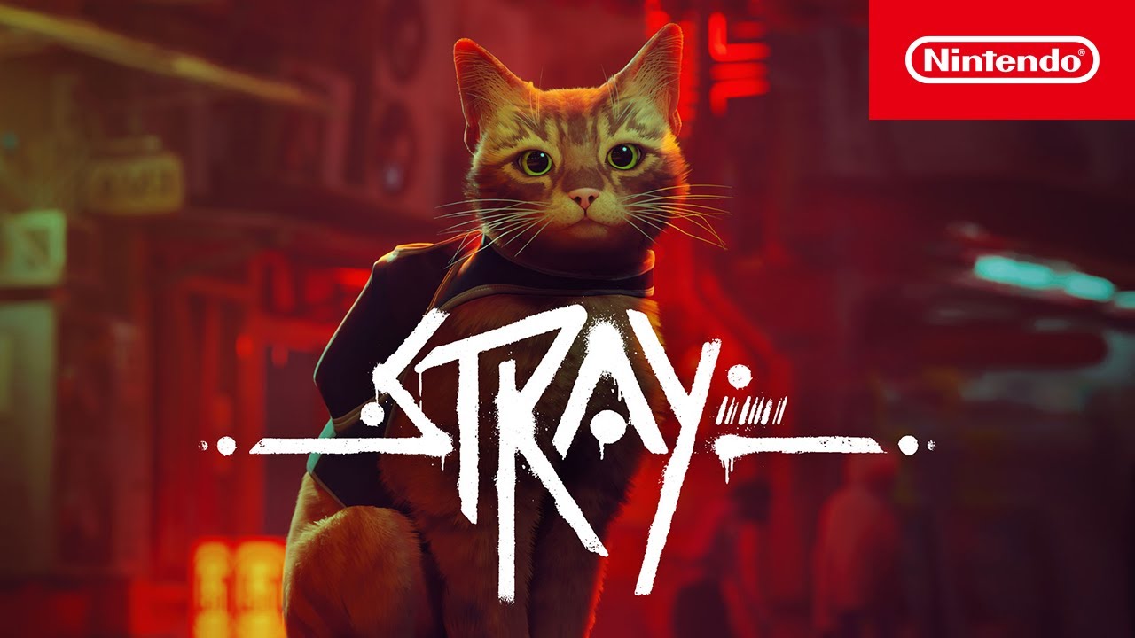 Stray heads to Nintendo Switch in November