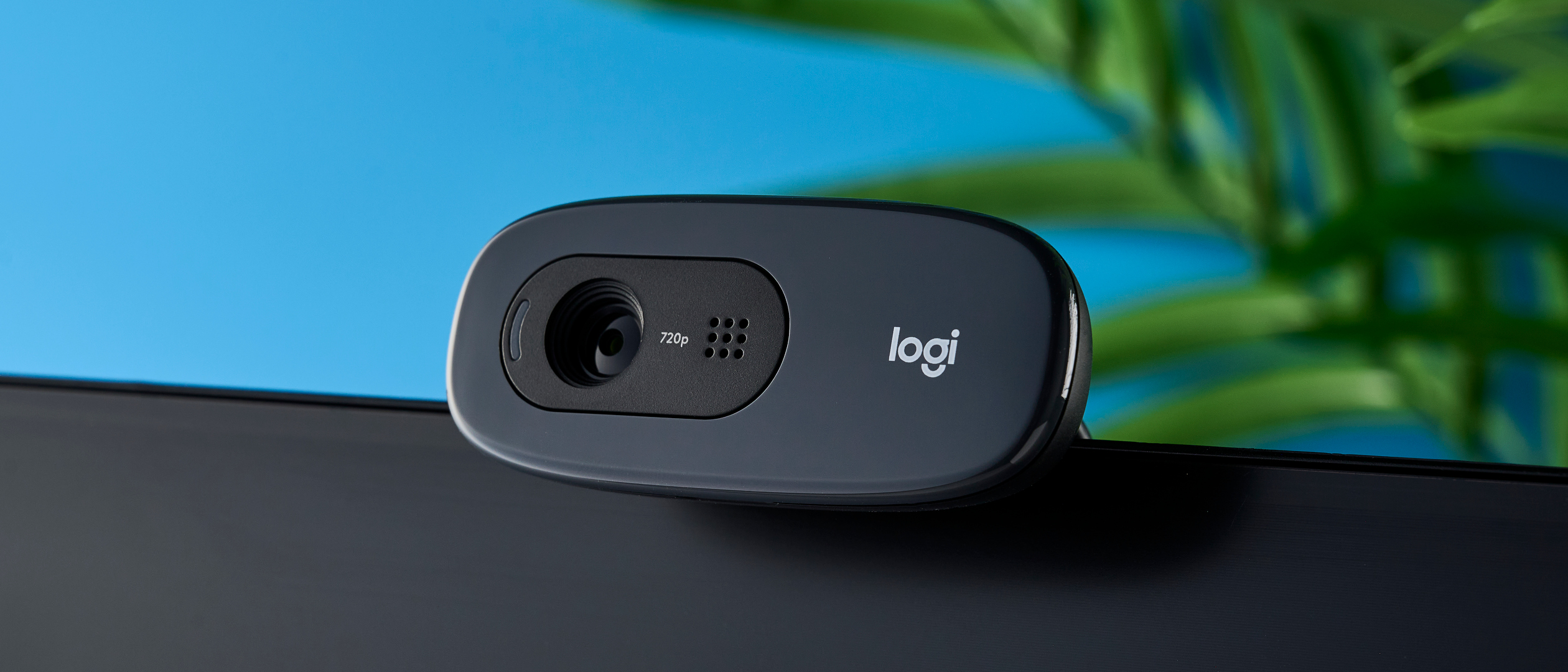 Logitech's Webcam Wonderland: Every Model Except One is Ready for Nintendo Switch 2!