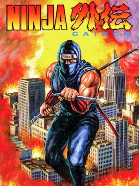 Ninja Gaiden: Ninja Gaiden - Virgin Edition