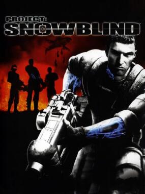 Project: Snowblind