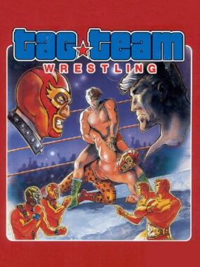 Tag Team Pro-Wrestling Special