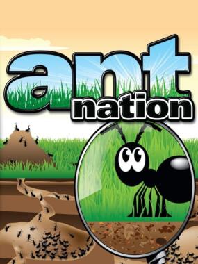 Ant Nation