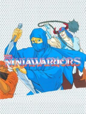 The Ninjawarriors