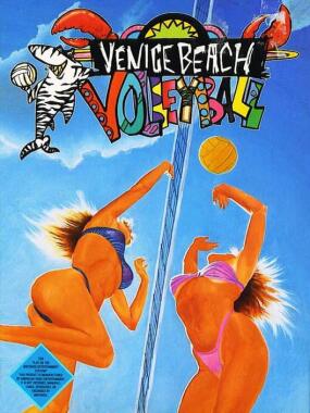 Venice Beach Volleyball