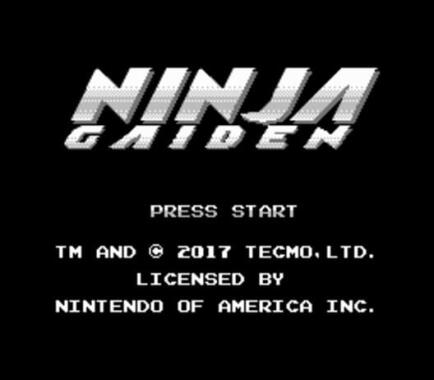 Ninja Gaiden: Dragon Scroll